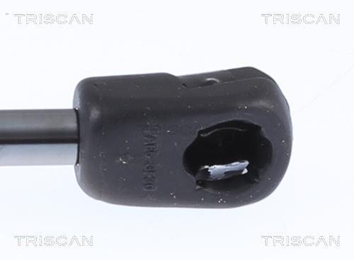 Vérin (Vérin de hayon) Triscan A/S 8710 24291