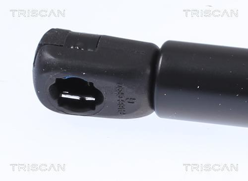 Vérin (Vérin de hayon) Triscan A/S 8710 24292