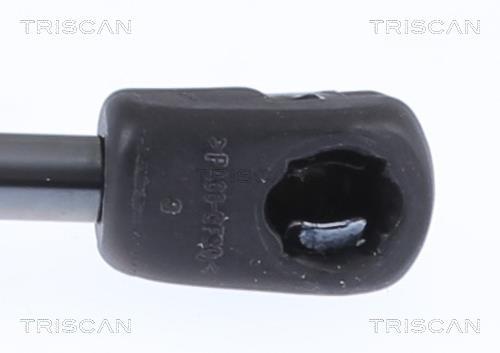 Vérin (Vérin de hayon) Triscan A/S 8710 24292