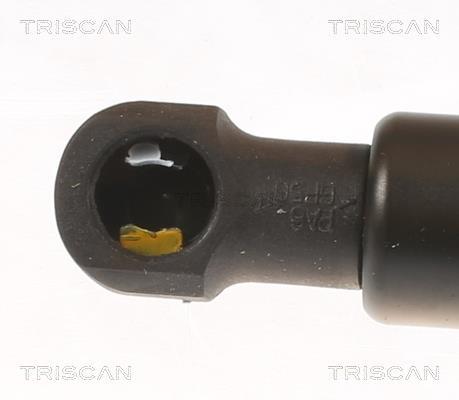 Vérin (Vérin de hayon) Triscan A/S ref. 8710 24293