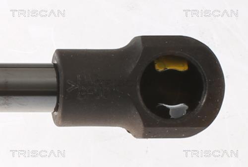 Vérin (Vérin de hayon) Triscan A/S ref. 8710 24293