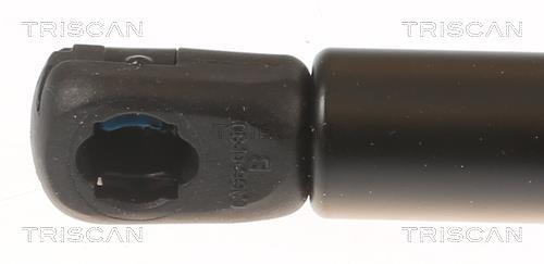 Vérin (Vérin de hayon) Triscan A/S 8710 24294