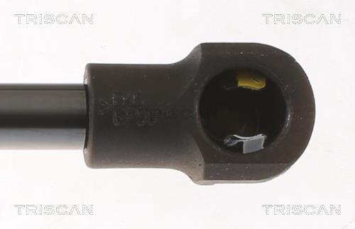 Vérin (Vérin de hayon) Triscan A/S 8710 24294