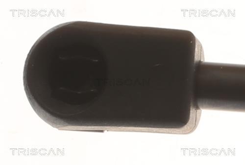 Vérin, capot-moteur Triscan A/S ref. 8710 24295