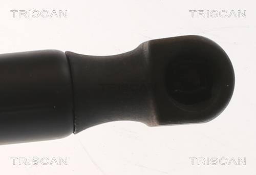 Vérin, capot-moteur Triscan A/S ref. 8710 24295