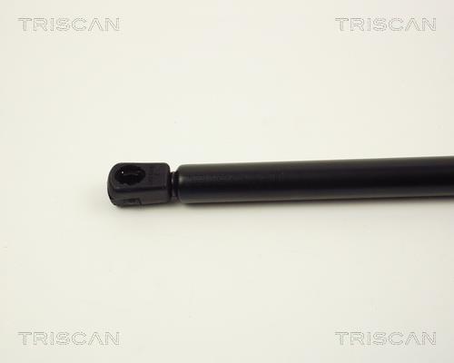 Vérin (Vérin de hayon) Triscan A/S ref. 8710 2429