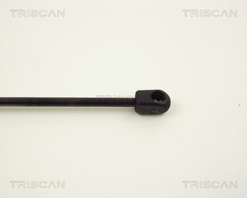 Vérin (Vérin de hayon) Triscan A/S ref. 8710 2429