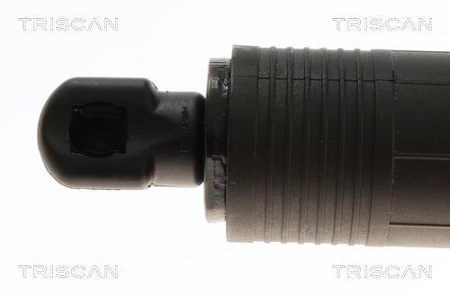 Muelle neumático, maletero/compartimento de carga Triscan A/S ref. 8710 24301