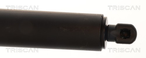 Vérin de hayon, de coffre (Vérin de hayon) Triscan A/S 8710 24305