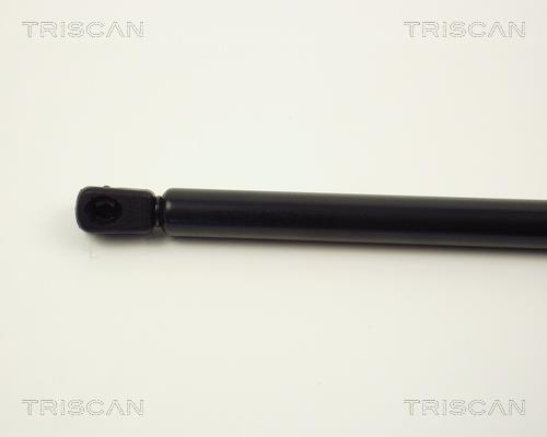 Vérin (Vérin de hayon) Triscan A/S 8710 2430