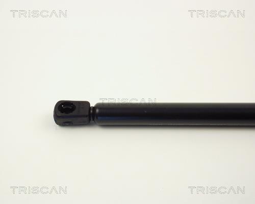 Muelle neumático Triscan A/S 8710 2431