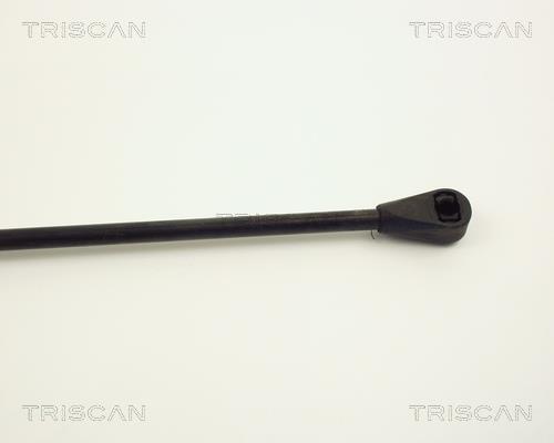 Vérin (Vérin de hayon) Triscan A/S ref. 8710 2504