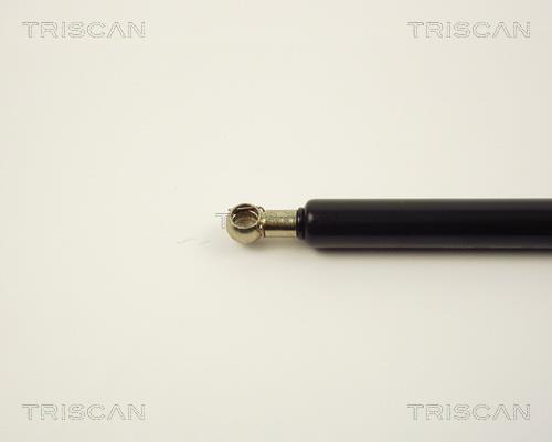 Vérin (Vérin de hayon) Triscan A/S 8710 2508