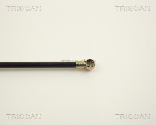 Vérin (Vérin de hayon) Triscan A/S 8710 2508