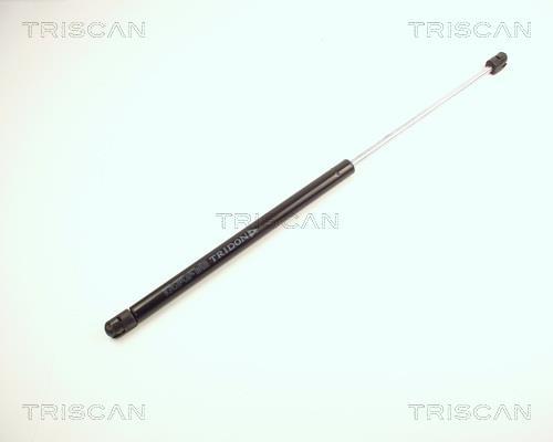 Vérin (Vérin de hayon) Triscan A/S 8710 25100