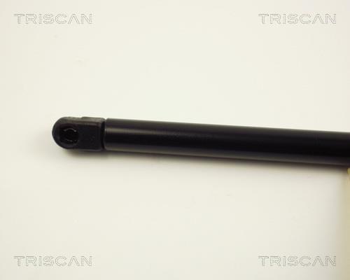 Vérin (Vérin de hayon) Triscan A/S 8710 25100