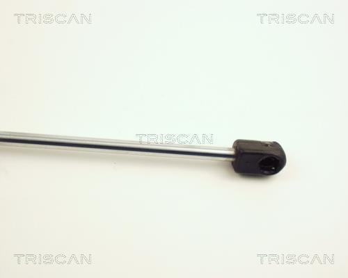 Vérin (Vérin de hayon) Triscan A/S 8710 25100