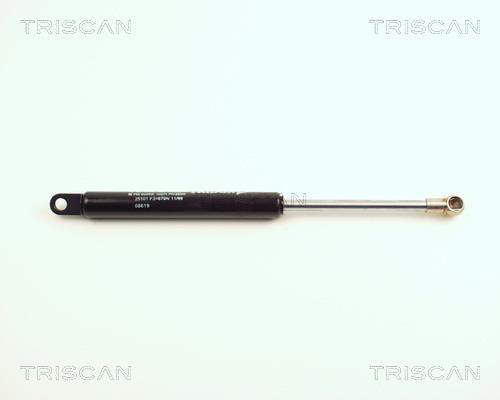 Vérin (Vérin de hayon) Triscan A/S 8710 25101