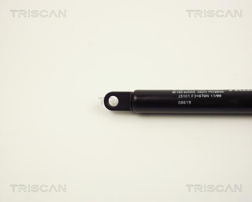 Vérin (Vérin de hayon) Triscan A/S 8710 25101