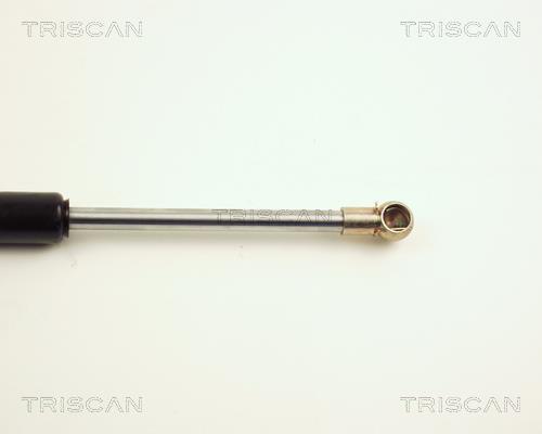 Vérin (Vérin de hayon) Triscan A/S 8710 25101