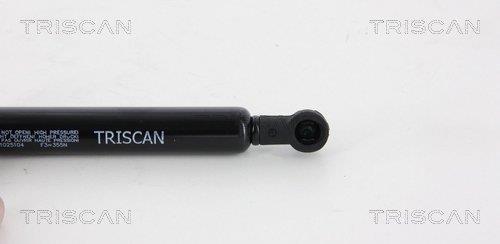 Cilindro Triscan A/S ref. 8710 25104