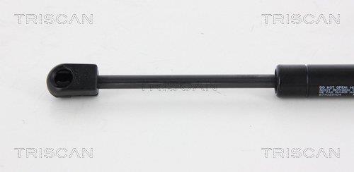 Cilindro Triscan A/S ref. 8710 25104