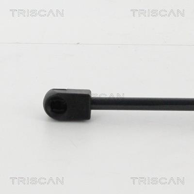 Vérin (Vérin de hayon) Triscan A/S 8710 25105
