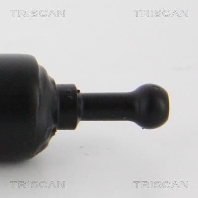 Vérin (Vérin de hayon) Triscan A/S 8710 25105
