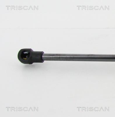 Vérin (Vérin de hayon) Triscan A/S 8710 25109