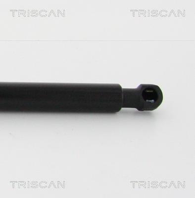 Vérin (Vérin de hayon) Triscan A/S 8710 25109
