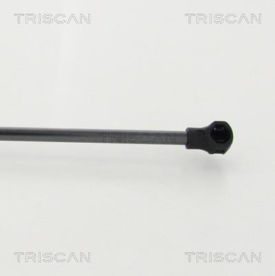 Vérin (Vérin de hayon) Triscan A/S 8710 25112