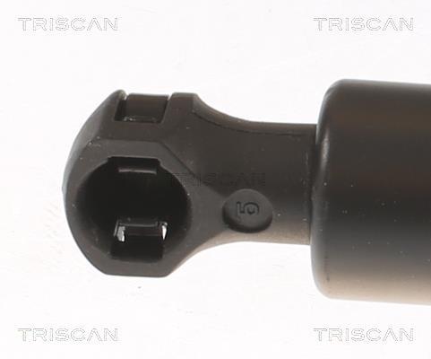 Vérin (Vérin de hayon) Triscan A/S 8710 25114