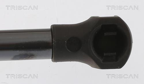 Vérin (Vérin de hayon) Triscan A/S 8710 25114
