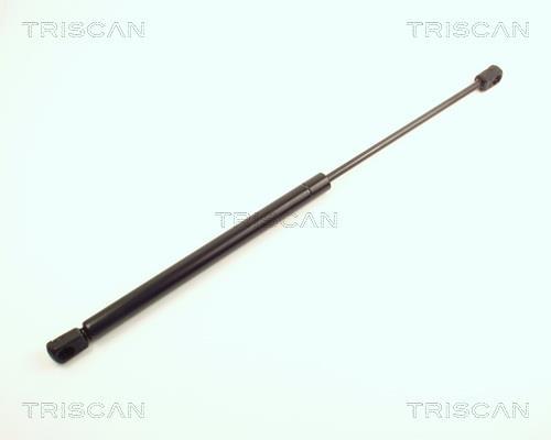 Vérin (Vérin de hayon) Triscan A/S ref. 8710 25201