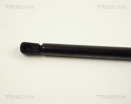Vérin (Vérin de hayon) Triscan A/S ref. 8710 25201