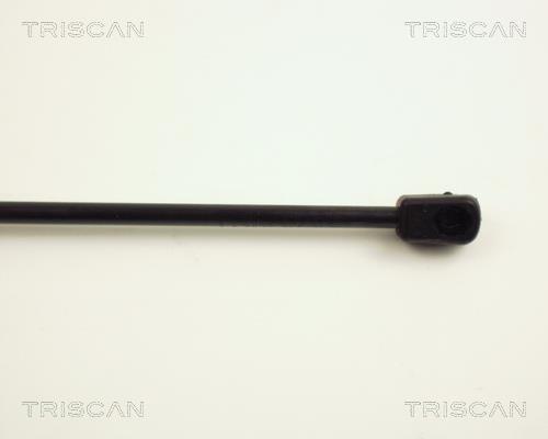 Vérin (Vérin de hayon) Triscan A/S ref. 8710 25201