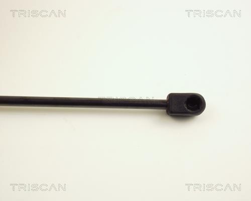 Muelle neumático Triscan A/S ref. 8710 25202