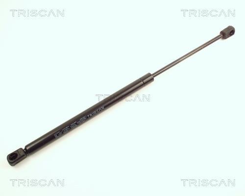 Vérin (Vérin de hayon) Triscan A/S 8710 25203