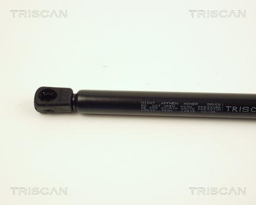 Vérin (Vérin de hayon) Triscan A/S 8710 25203