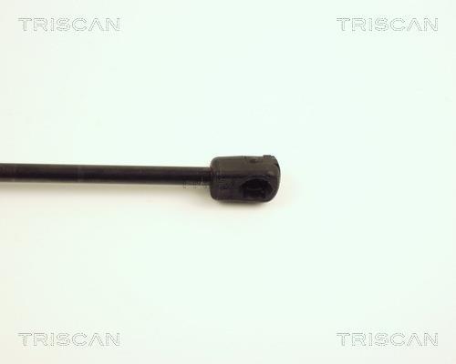 Vérin (Vérin de hayon) Triscan A/S 8710 25203