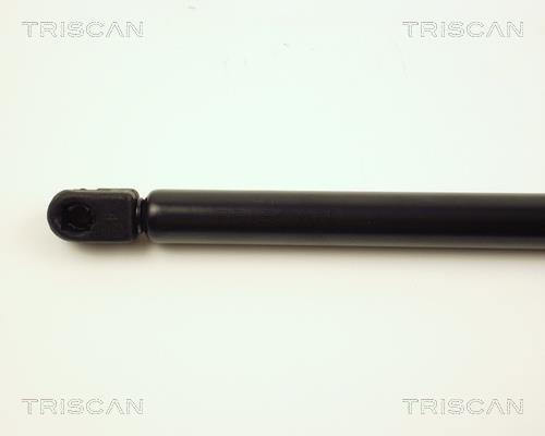 Vérin (Vérin de hayon) Triscan A/S ref. 8710 25205