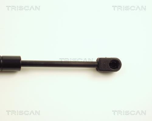 Vérin (Vérin de hayon) Triscan A/S ref. 8710 25205
