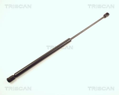 Vérin (Vérin de hayon) Triscan A/S ref. 8710 25206