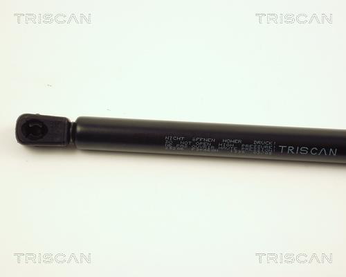 Vérin (Vérin de hayon) Triscan A/S ref. 8710 25206