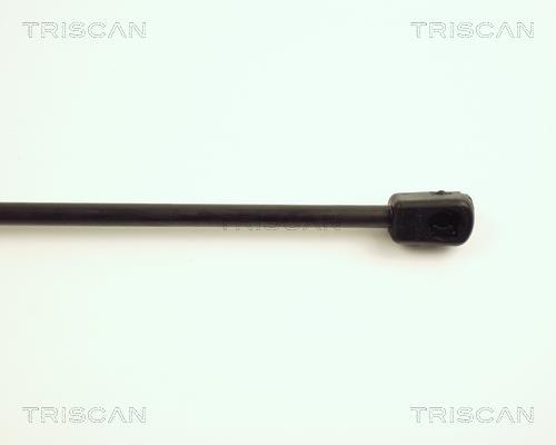 Vérin (Vérin de hayon) Triscan A/S ref. 8710 25206