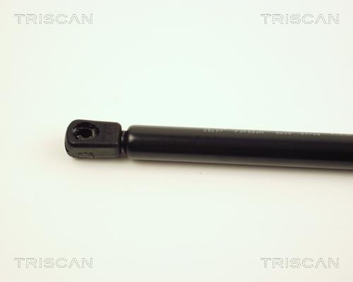 Vérin (Vérin de hayon) Triscan A/S ref. 8710 25207