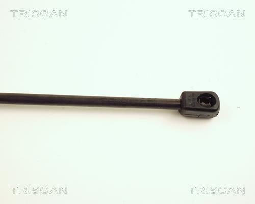 Vérin (Vérin de hayon) Triscan A/S ref. 8710 25207