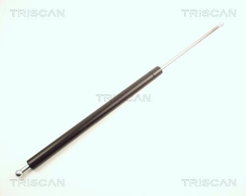Vérin (Vérin de hayon) Triscan A/S 8710 25208