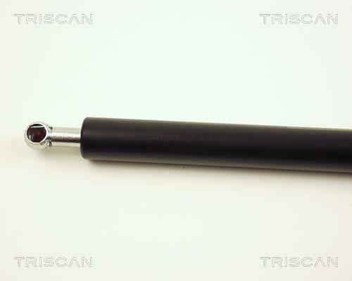 Vérin (Vérin de hayon) Triscan A/S 8710 25208