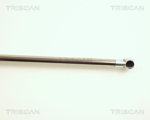 Vérin (Vérin de hayon) Triscan A/S 8710 25208